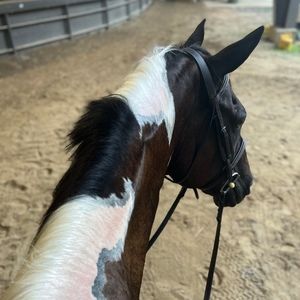 Meet your Posher, Anna kate